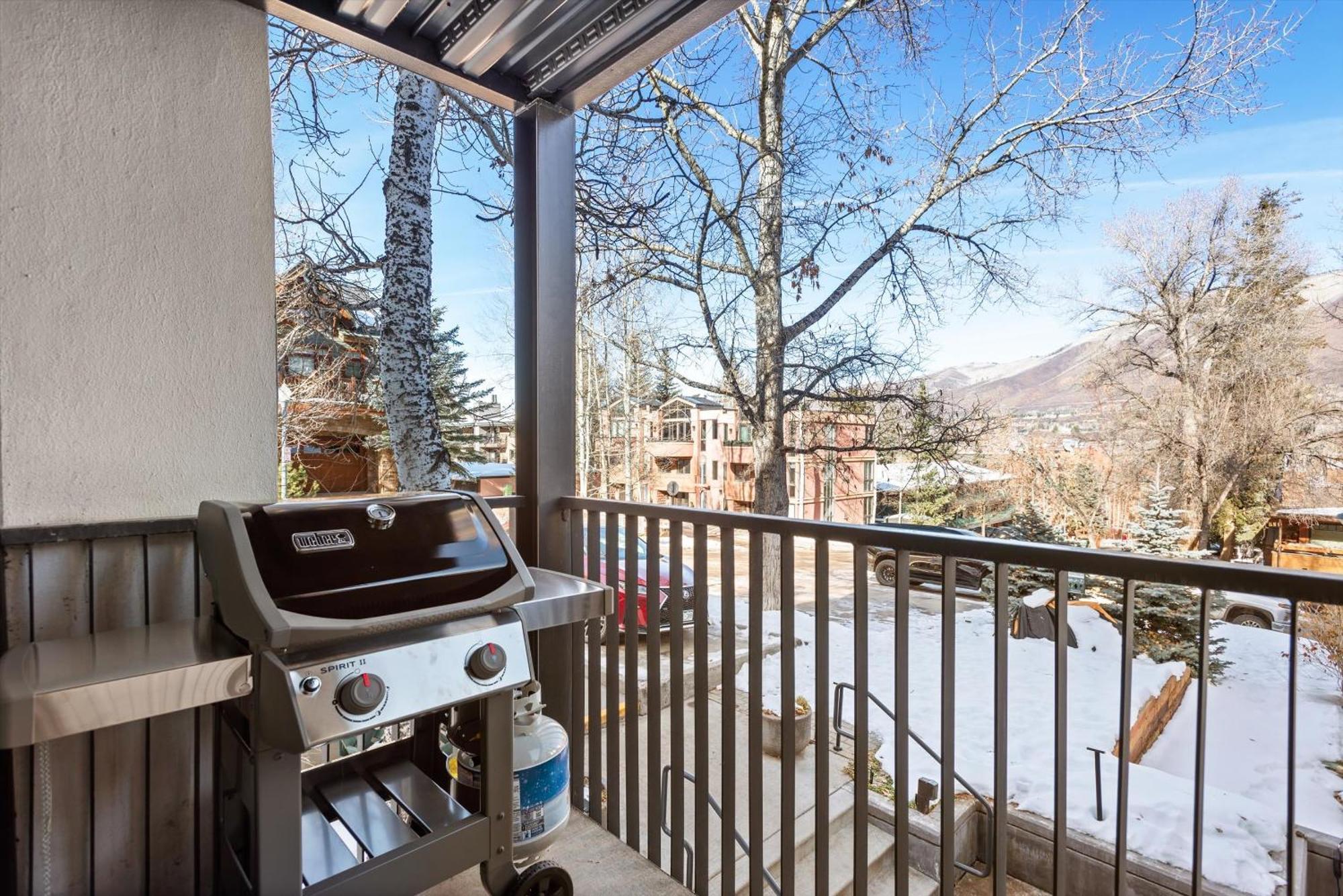 New Listing 3br 3ba Aspen