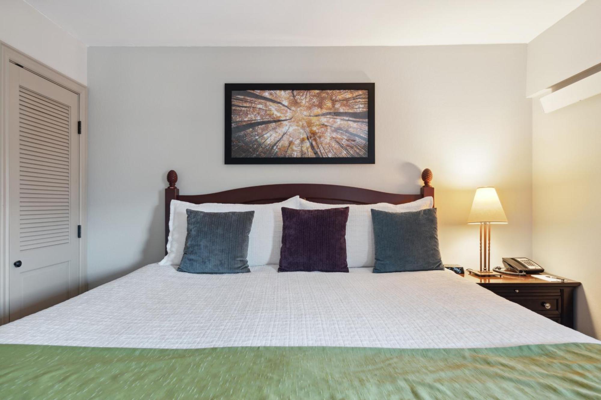 Aparthotel Falcon Point Avon