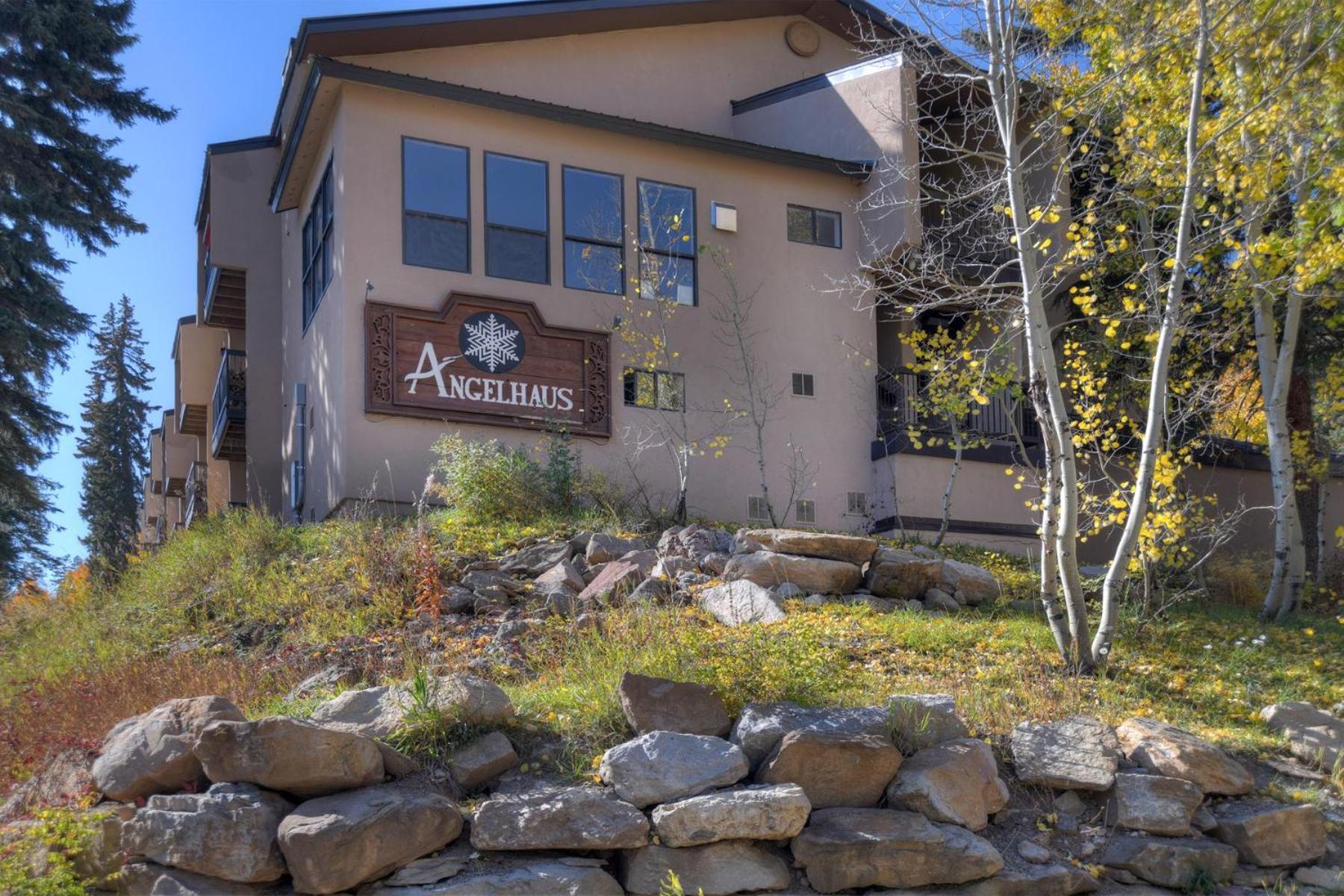 Holiday home 3 Bedroom Angelhaus 308 *