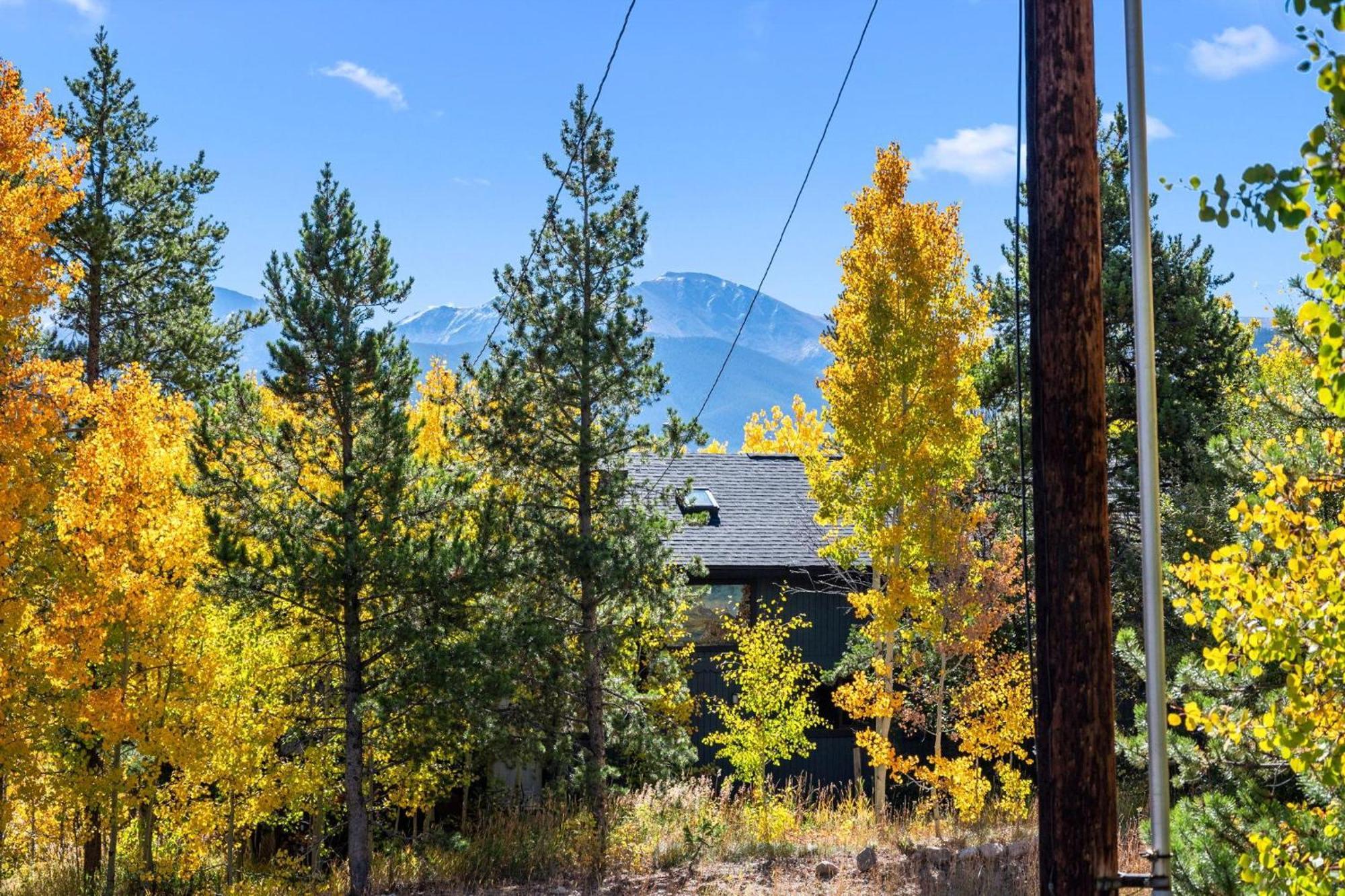 265 Forest Trail *