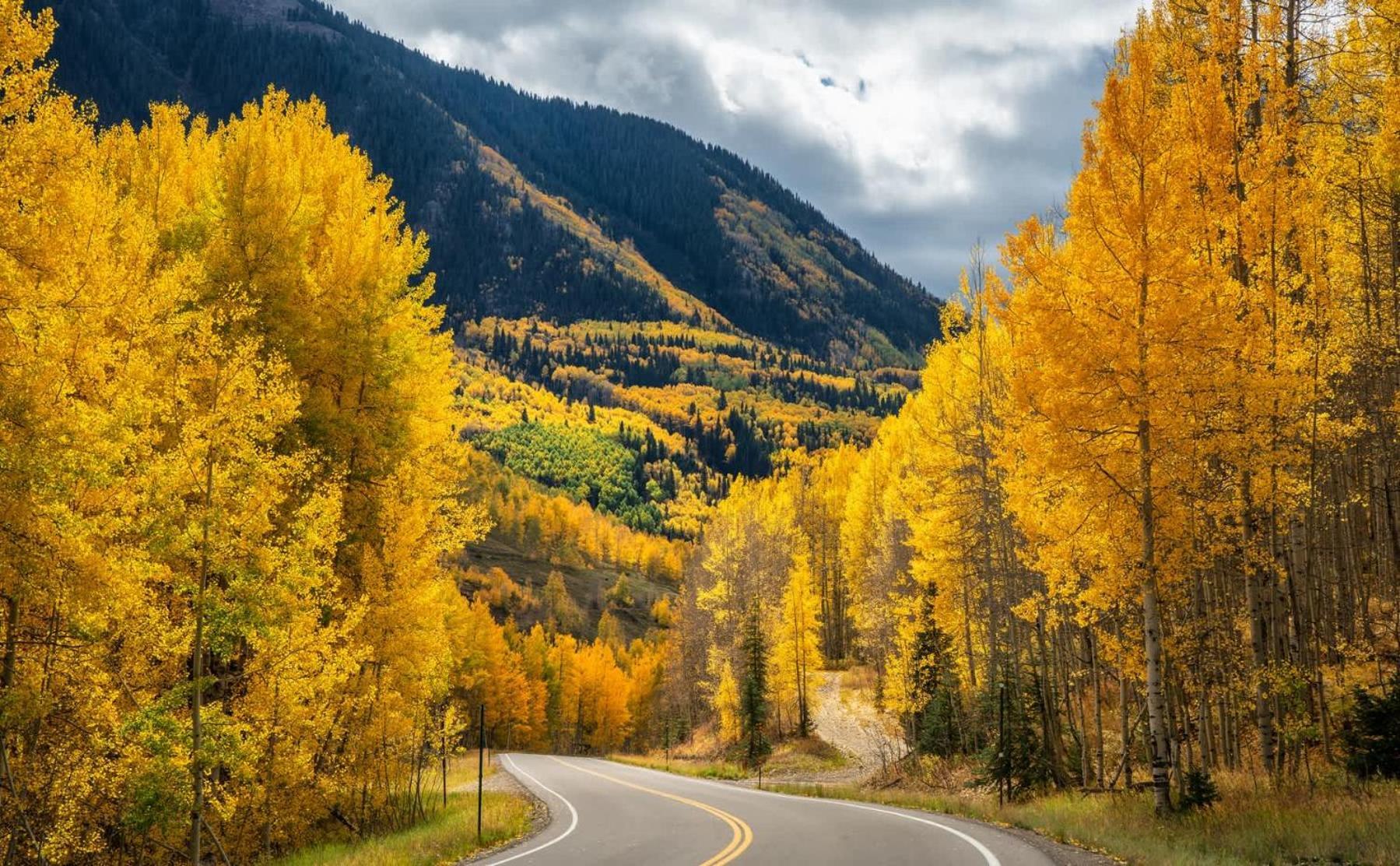 Apartment New Listing 2br 2ba - Mountain Views Aspen