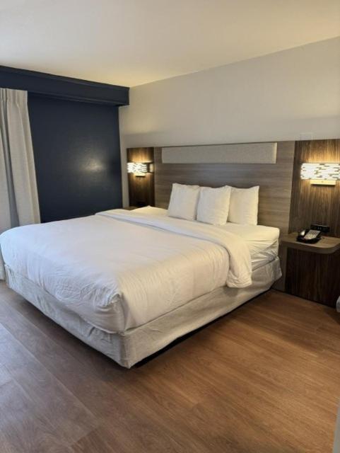 Holiday Inn Express Denver Central - North