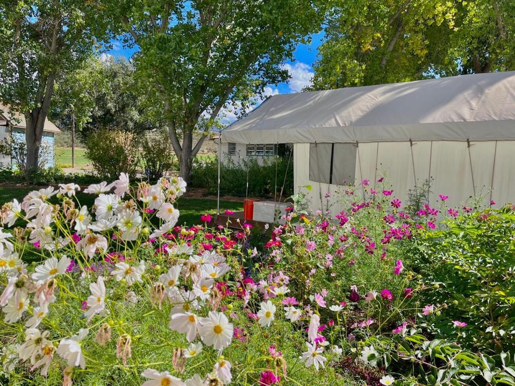 Zinnia Glamping Tent At Zenzen Gardens Luxury tent *