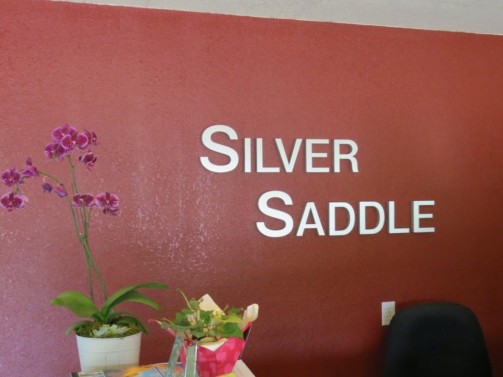 Silver Saddle 2*