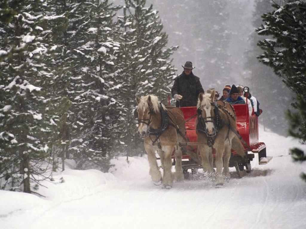 Mountain Thunder * Breckenridge