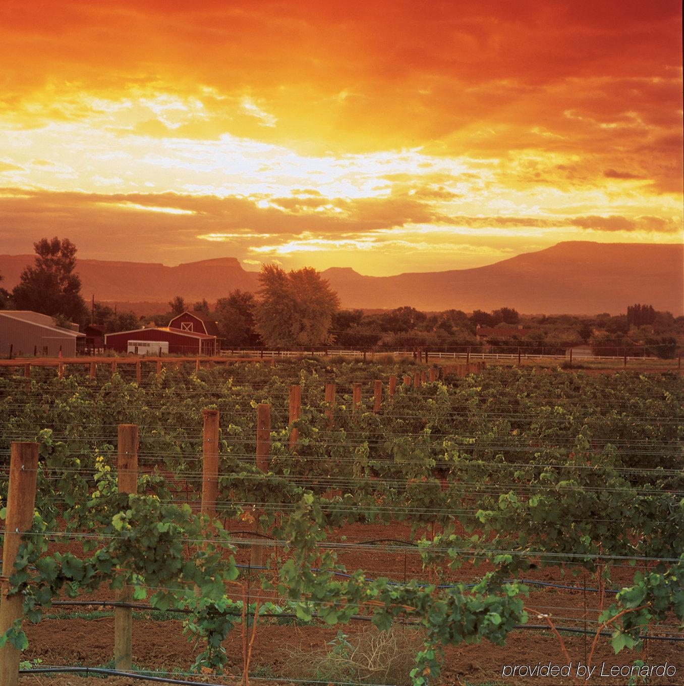 Holiday & Grand Junction-airport By Ihg 3* Grand Junction