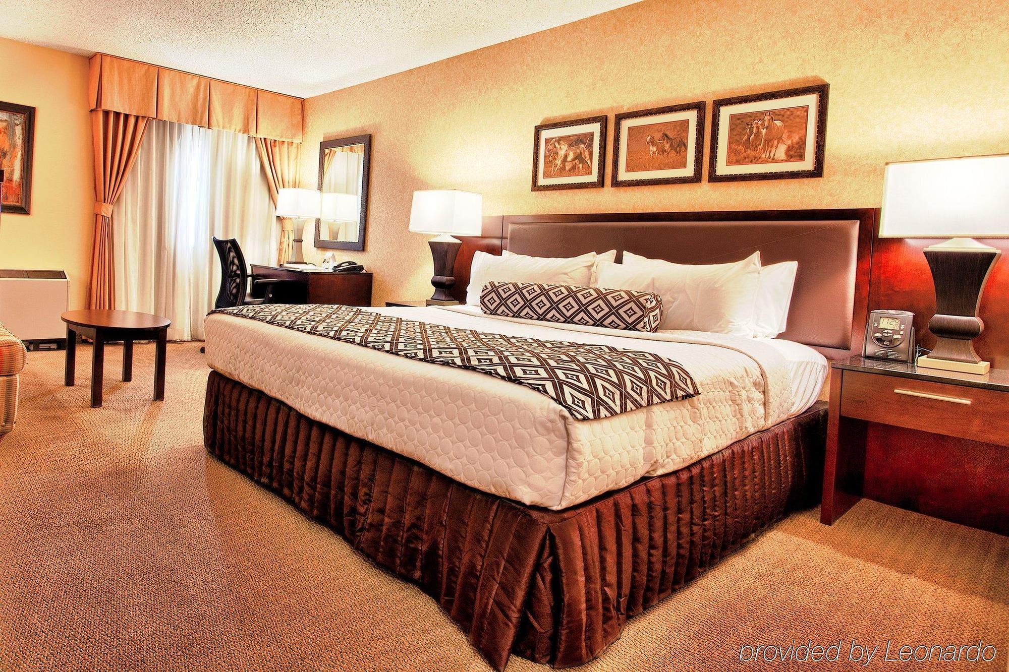 Hotel Crowne Plaza International Airport, An Ihg DEN