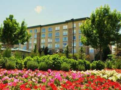 Hilton Garden Denver South Park Meadows Area