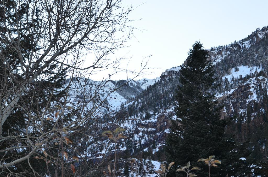 The Main Street Ouray