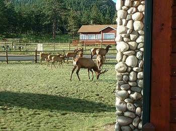 Hotel Mountain Shadows Estes Park