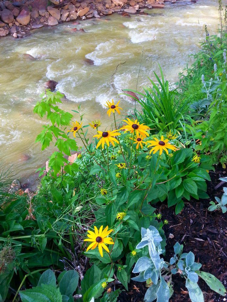 Rivers Edge & 3*