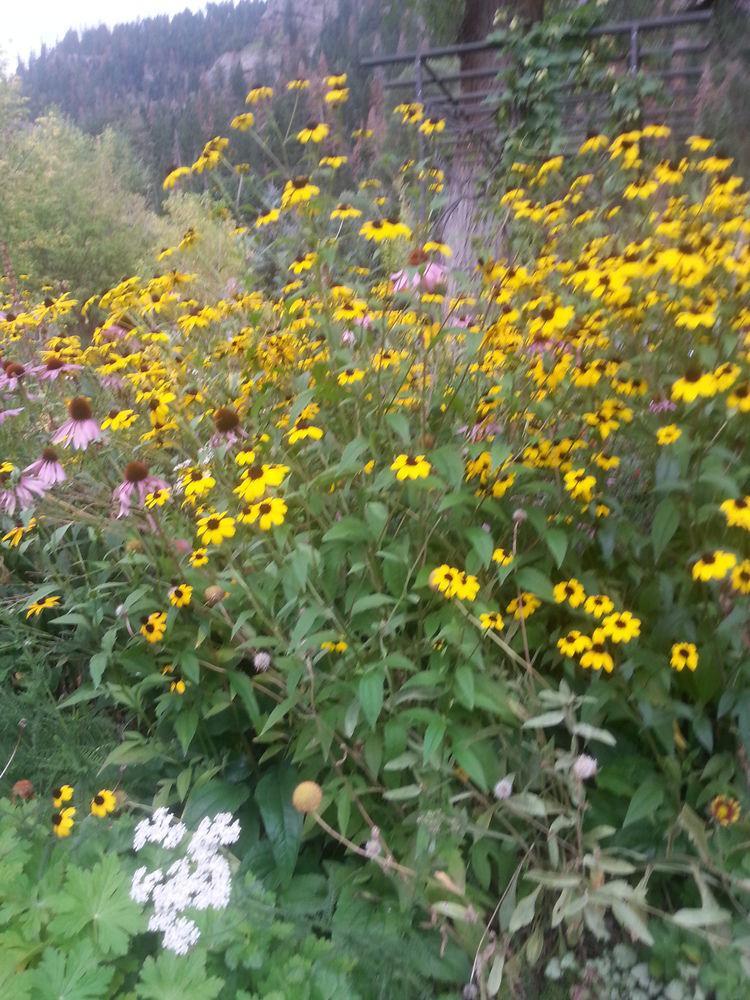 Rivers Edge & Motel Ouray