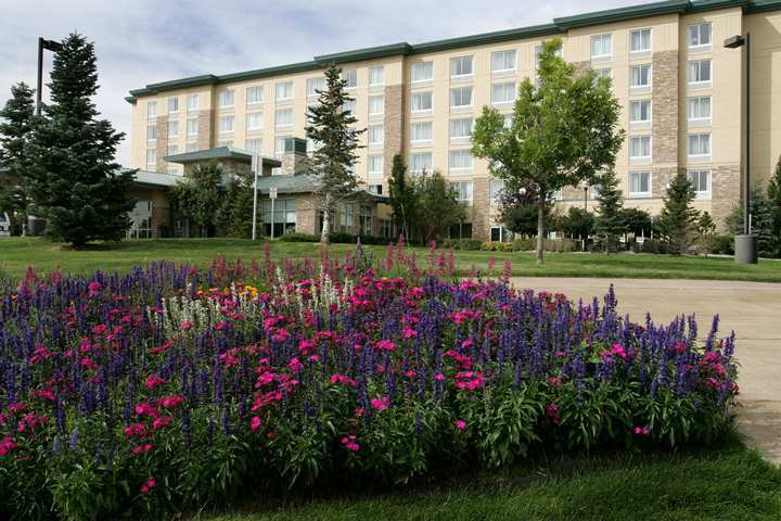 Hilton Garden Denver South Park Meadows Area Hotel
