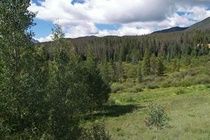 Rocky Mountain Management Hotel