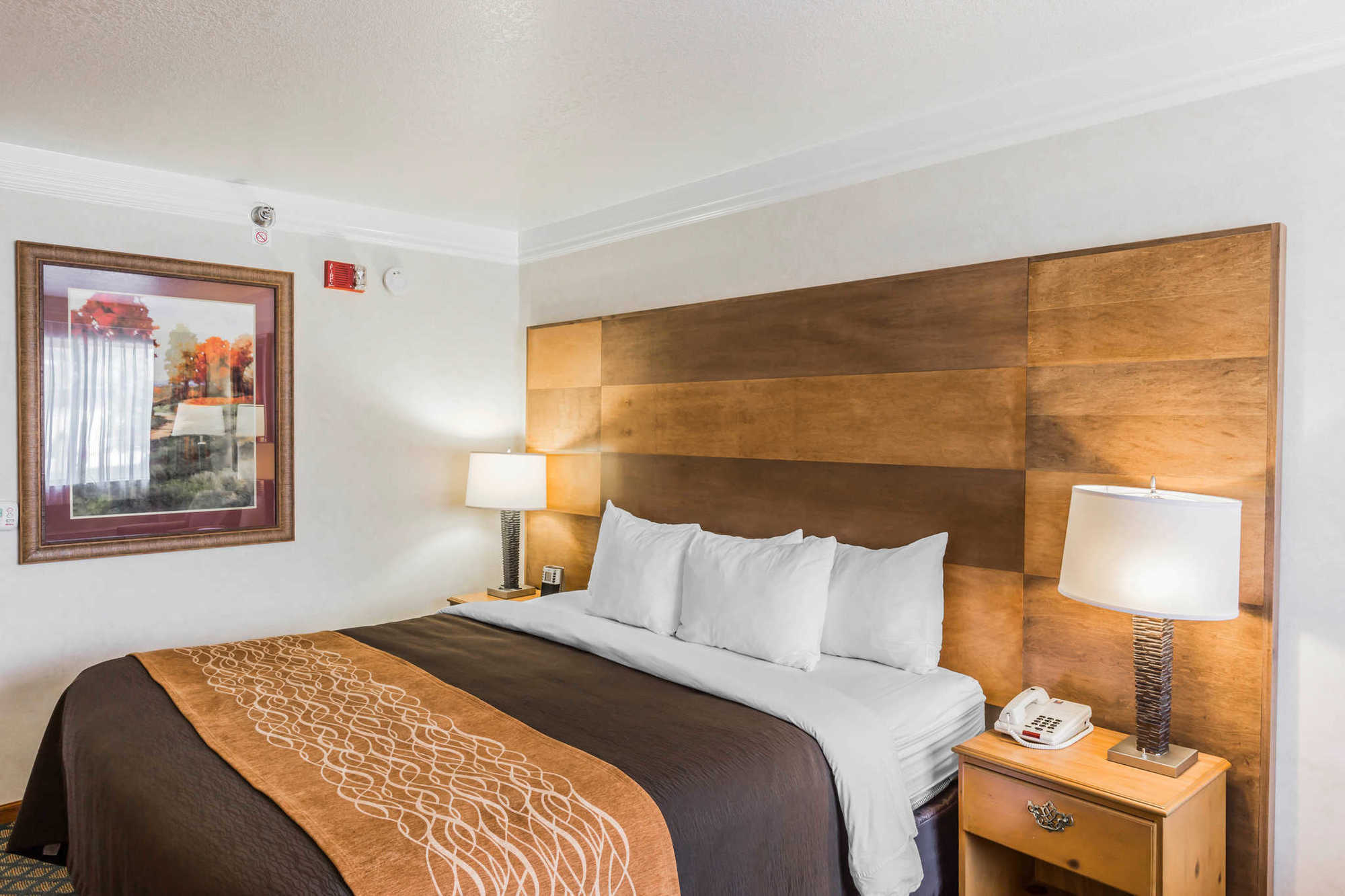 Hotel Comfort & 3*