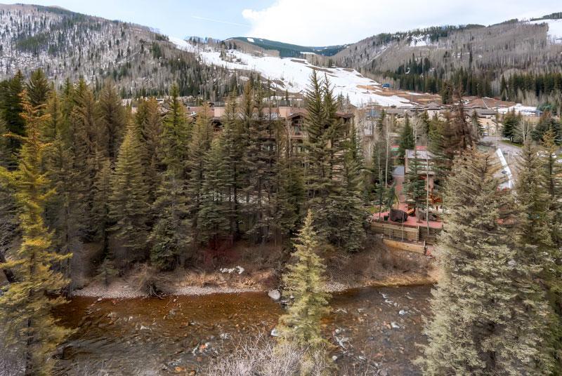 The Wren At Vail