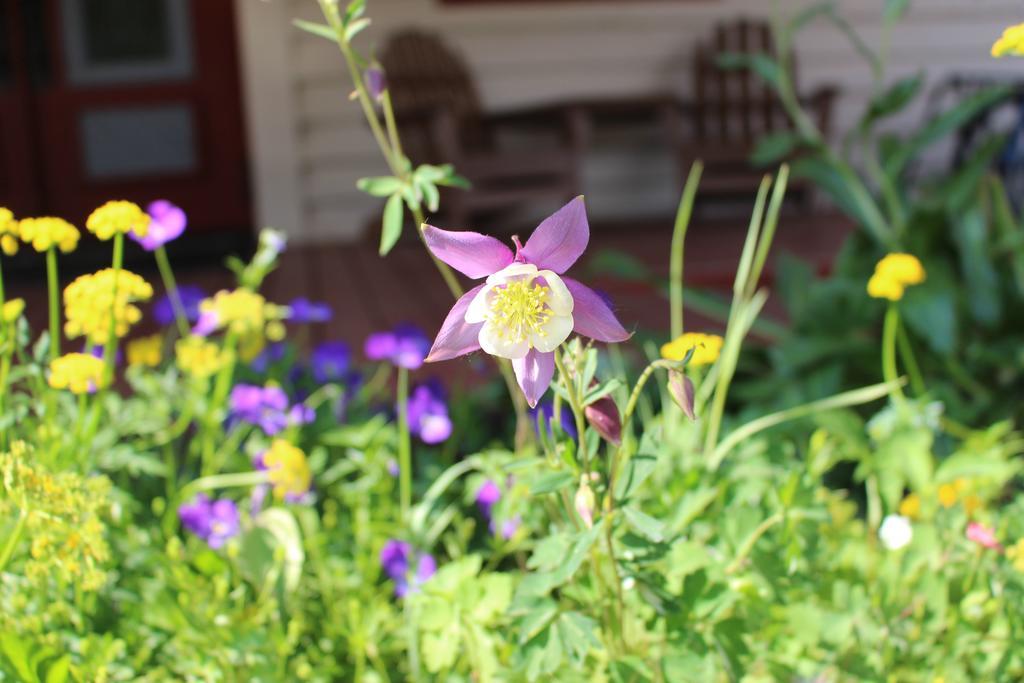 Lodge Cristiana Guesthaus Crested Butte