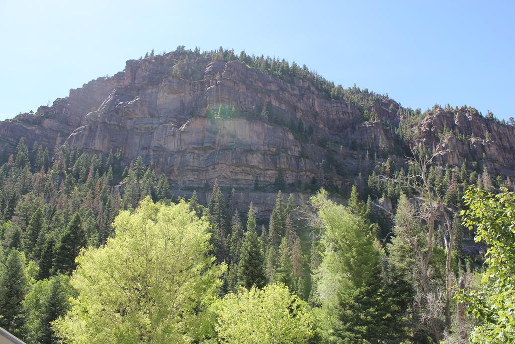 Black Bear Manor 2* Ouray