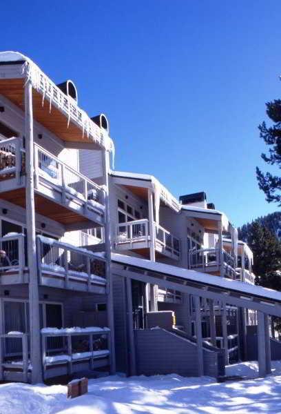 Forest By Hotel