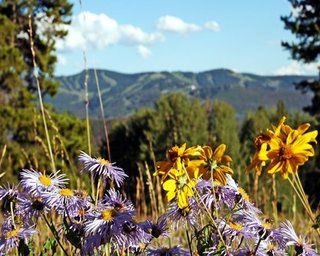Aspen At Streamside, A Vri Vail