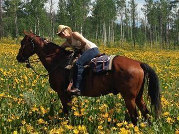 Elk River Guest Ranch Hotel