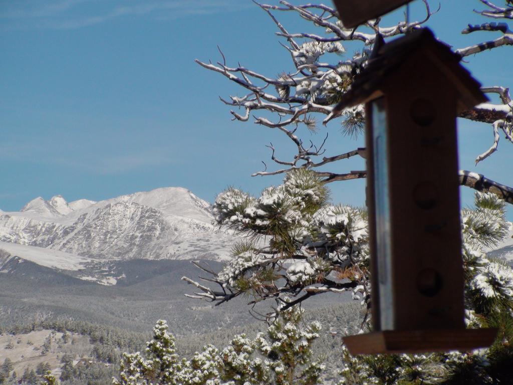 Blue Sky Mountain Ranch * Black Hawk
