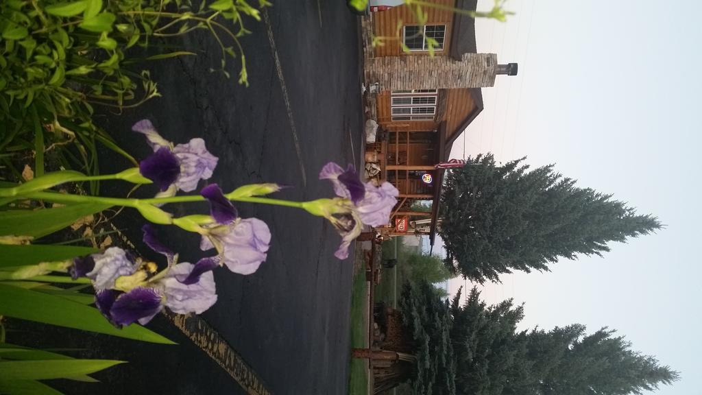 Motel Long 2*