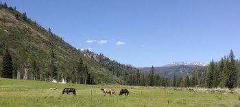 Elk River Guest Ranch 4* Clark