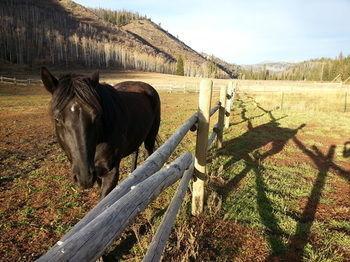 Elk River Guest Ranch 4*