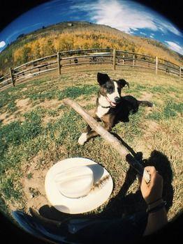 Elk River Guest Ranch Hotel Clark
