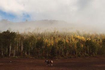 Elk River Guest Ranch Hotel 4*