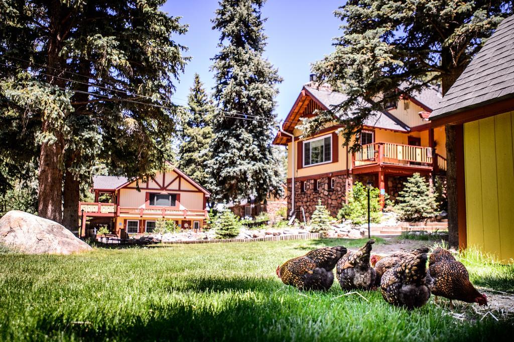 Alpen Way Mountain Lodge Evergreen