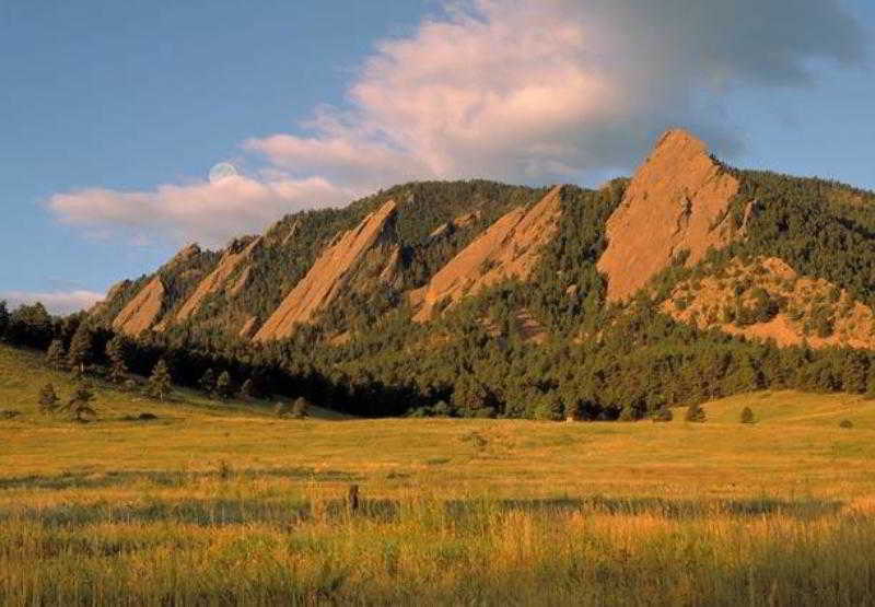 Springhill Denver North / Westminster