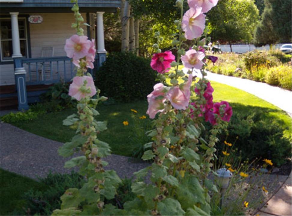 Bed & Breakfast Apple Orchard 3*