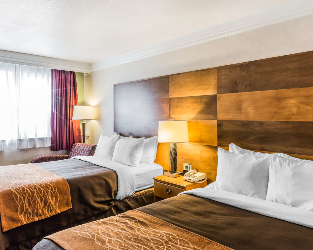 Comfort & Hotel 3*
