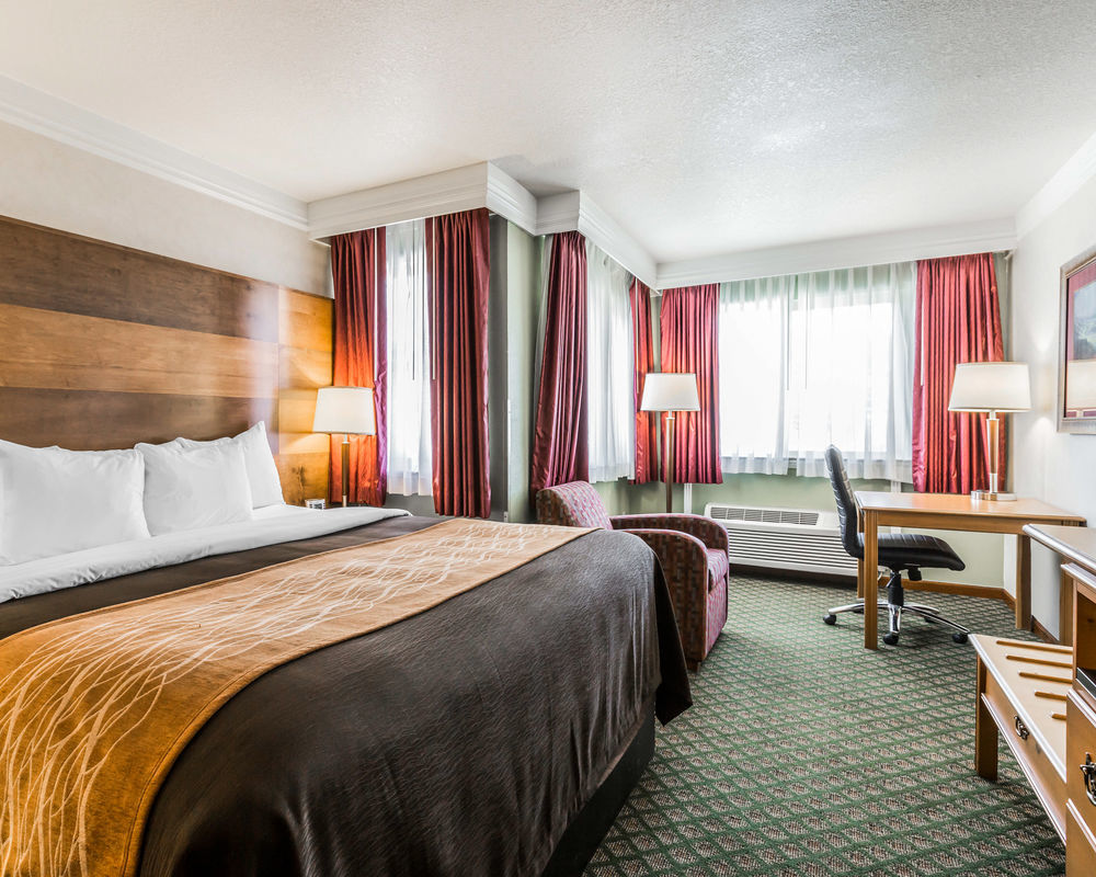 Comfort & Hotel 3*