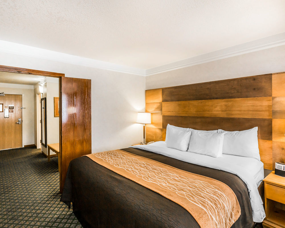 Comfort & Hotel