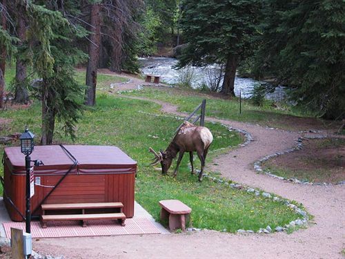 The Evergreens On Fall River Hotel Estes Park