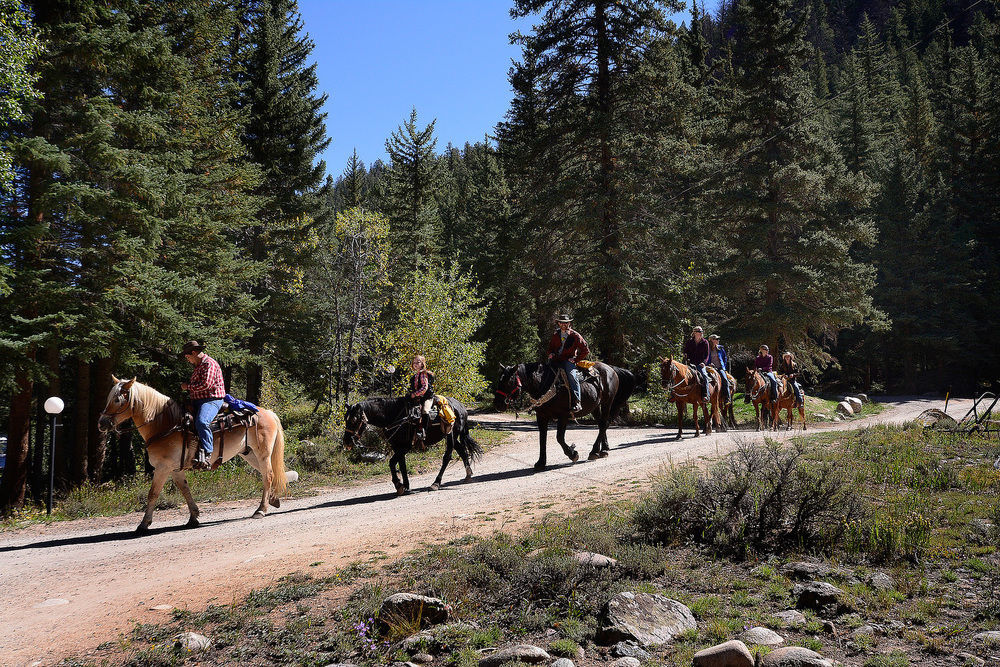 Harmel's Ranch Almont