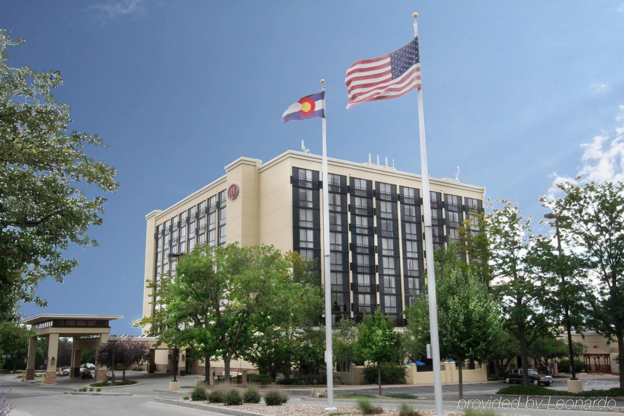 Hilton Collins
