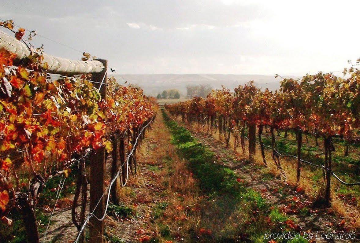 Hotel Wine Country Palisade