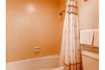 Lichenhearth - Coraltree Collection 3* Snowmass Village