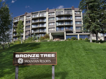Bronze Tree By Mountain Hotel Steamboat Springs