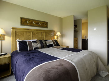 Bronze Tree By Mountain 4* Steamboat Springs