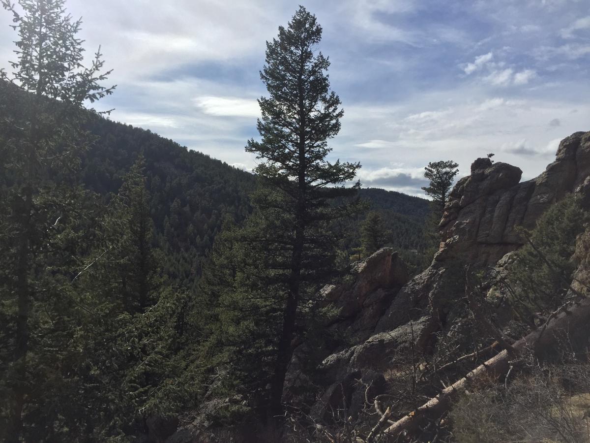 Kokopelli Guest house Estes Park