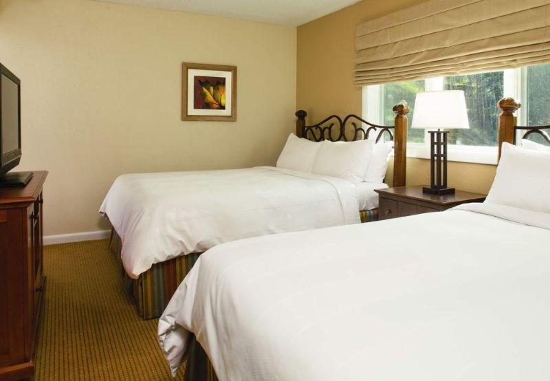 Hotel Marriott's Streamside Douglas At 3*