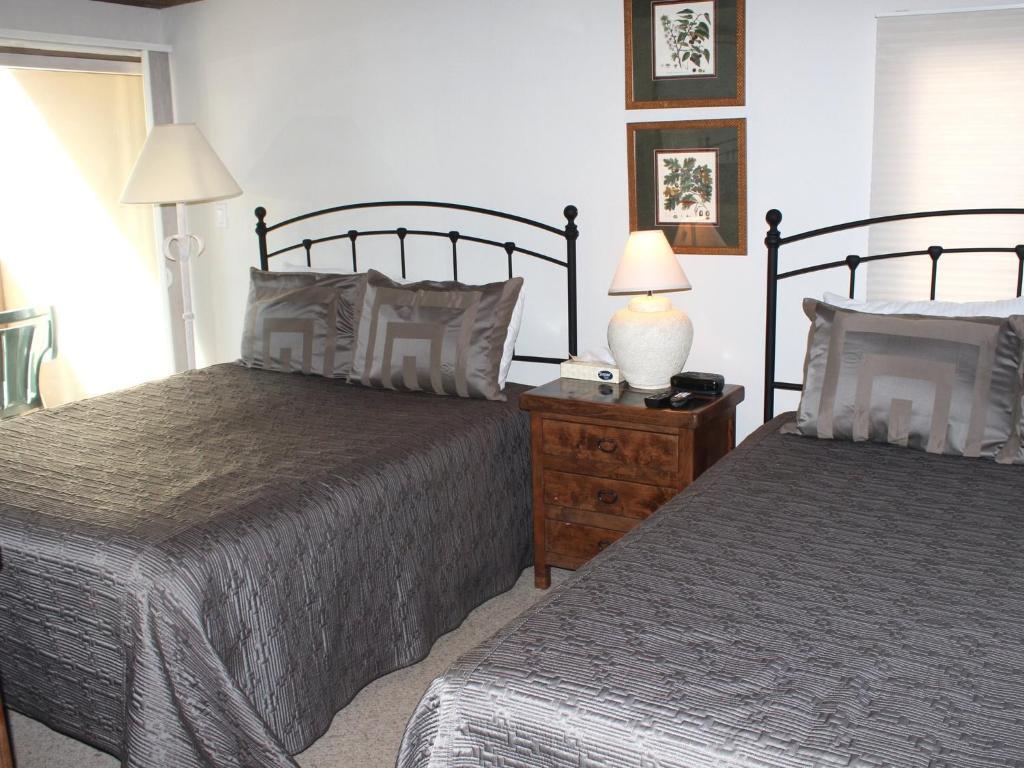 Aparthotel International 3*
