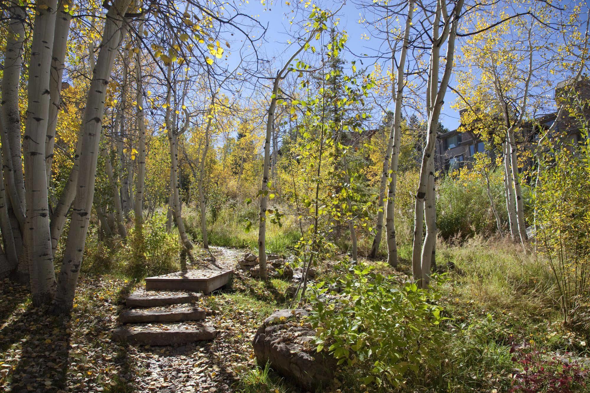Terracehouse - Coraltree Collection Aparthotel Snowmass Village