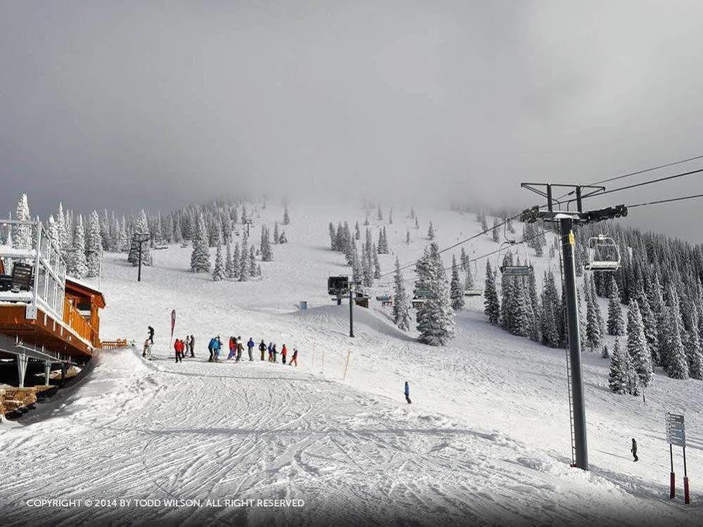 Storm Meadows At Christie Base