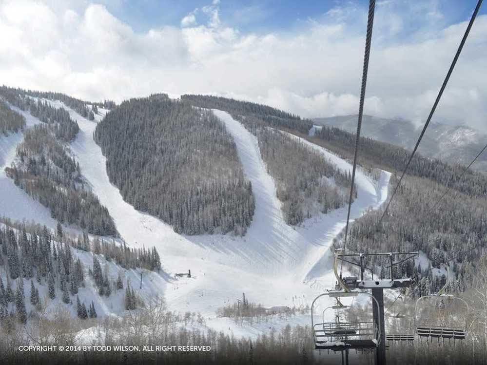Scandinavian And Steamboat Springs